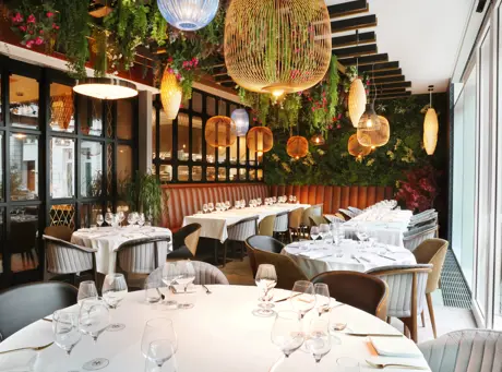 54366246722 Bd26bf6c34 6K