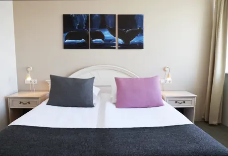 Fosshotel Húsavík Economy Double or Twin Room 