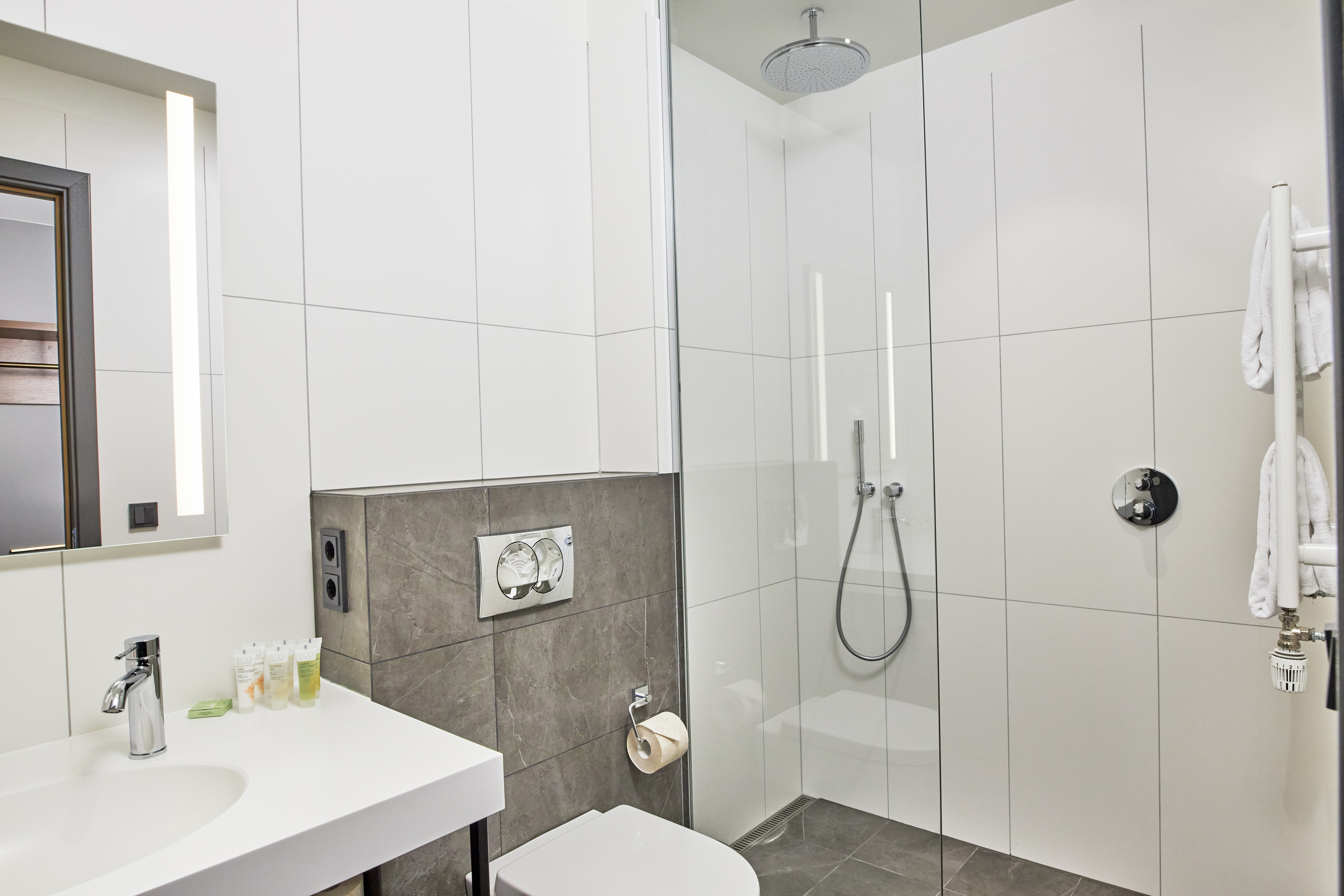 Standard Double or Twin Room Plus Bathroom 