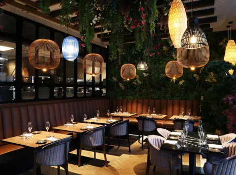 52663258918 364Dedd0c9 K