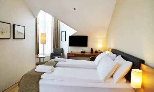 Hotel Reykjavík Centrum Deluxe Herbergi