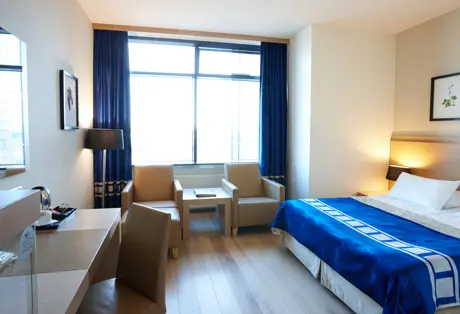 Standard Double or Twin Room at Hotel Reykjavík Grand
