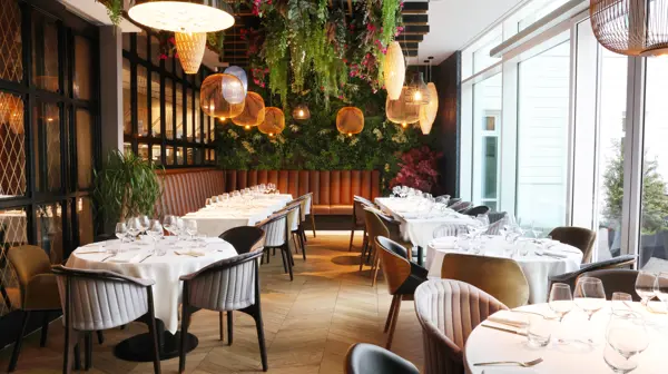 54366246612 08Ab395c6f 6K