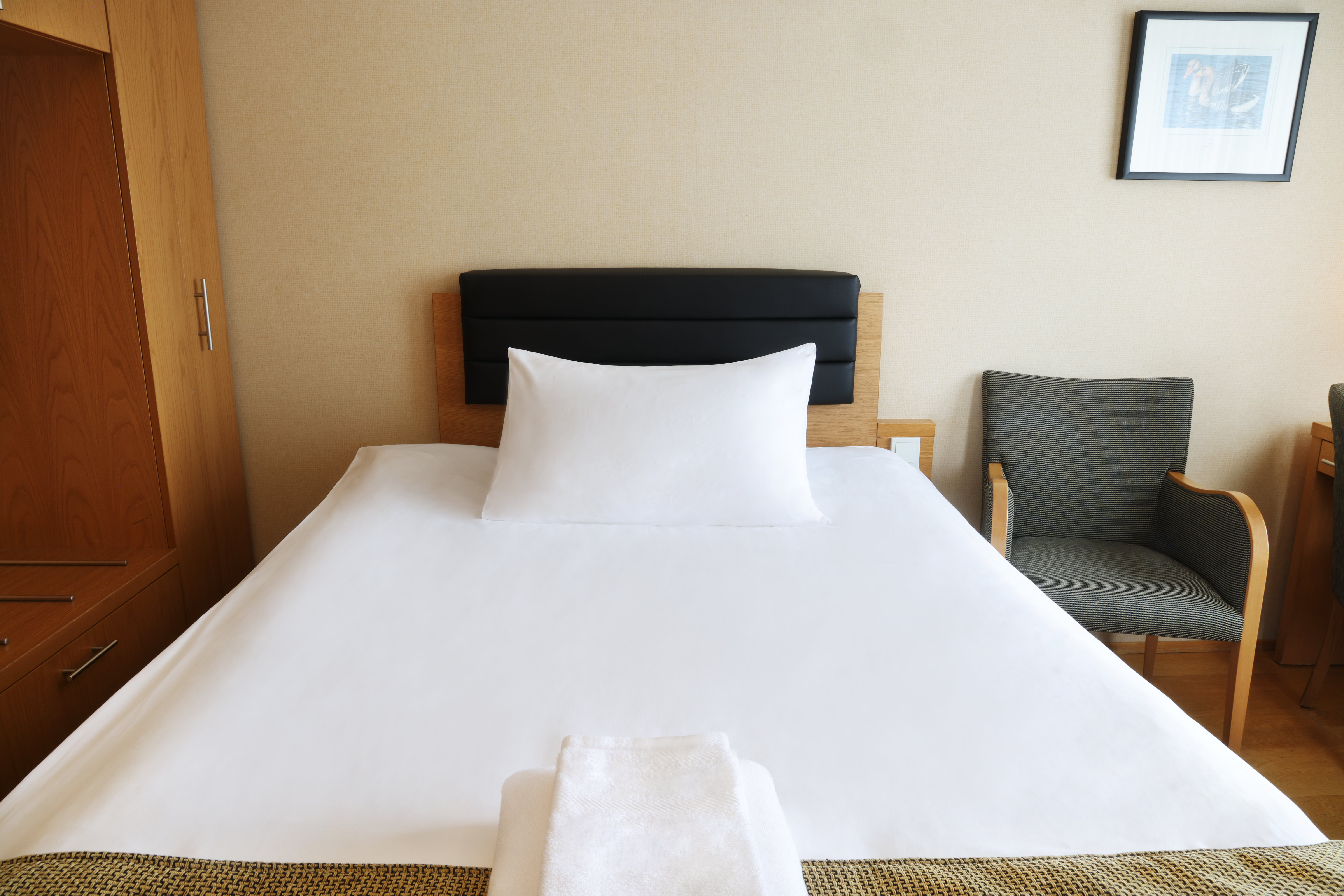 Hotel Reykjavik Centrum Standard Single Room 