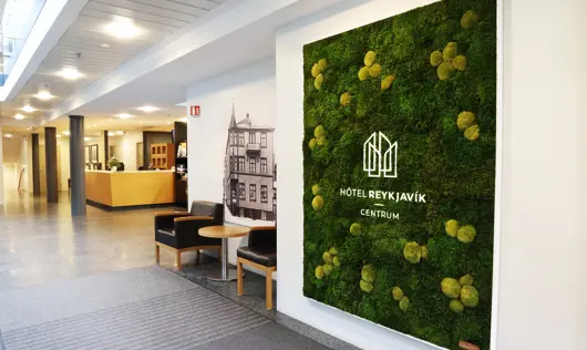 Hotel Reykjavík Centrum 